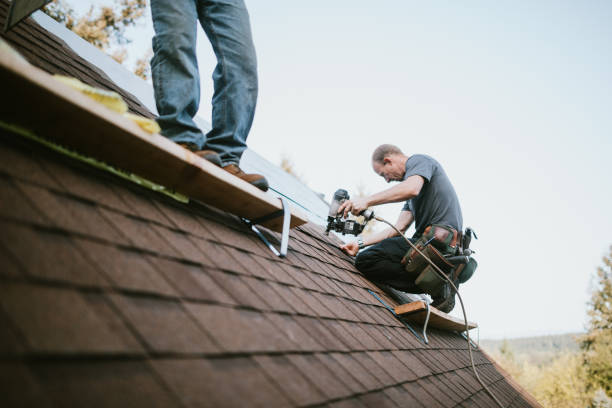 Quick and Trustworthy Emergency Roof Repair Services in Palm Shores, FL